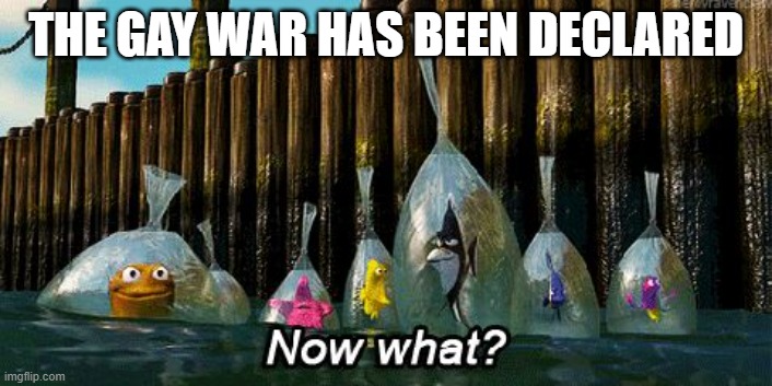 Now What? | THE GAY WAR HAS BEEN DECLARED | image tagged in now what | made w/ Imgflip meme maker