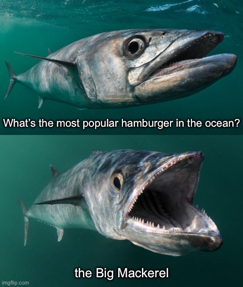 What’s the most popular hamburger in the ocean? the Big Mackerel | image tagged in funny memes,dad jokes,eyeroll | made w/ Imgflip meme maker