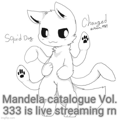 WHOOOOOOO | Mandela catalogue Vol. 333 is live streaming rn | image tagged in squid dog | made w/ Imgflip meme maker