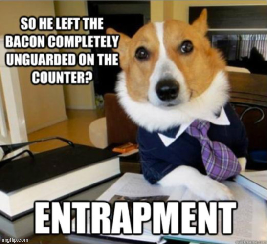 It's entrapment I tell ya... | image tagged in sad dog | made w/ Imgflip meme maker