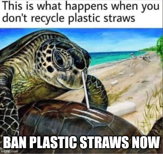 Plastic straws kill | BAN PLASTIC STRAWS NOW | image tagged in save the earth | made w/ Imgflip meme maker