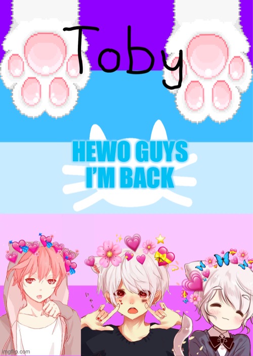 Hewo | HEWO GUYS I’M BACK | image tagged in toby's template | made w/ Imgflip meme maker