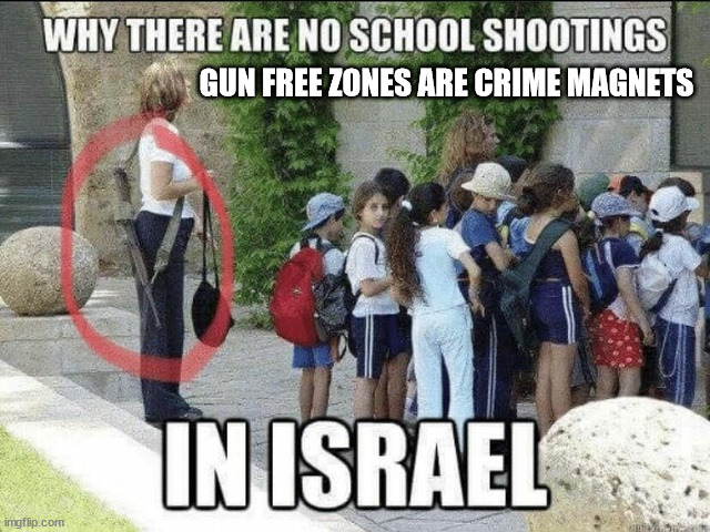 Gun free zones are crime magnets | GUN FREE ZONES ARE CRIME MAGNETS | image tagged in second amendment | made w/ Imgflip meme maker