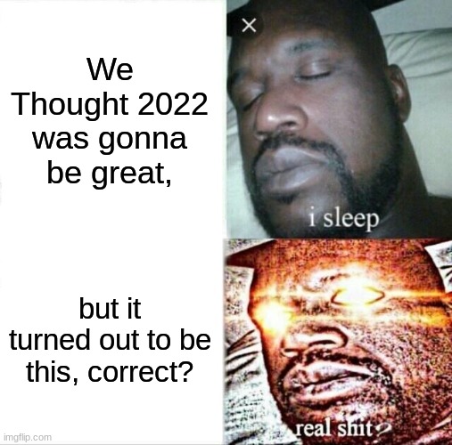 Sleeping Shaq | We Thought 2022 was gonna be great, but it turned out to be this, correct? | image tagged in memes,sleeping shaq | made w/ Imgflip meme maker