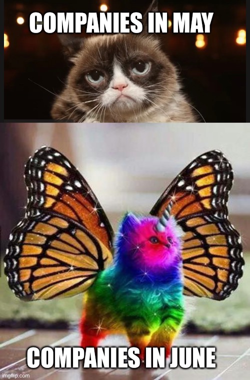 Rainbow Cat | COMPANIES IN MAY; COMPANIES IN JUNE | image tagged in rainbow unicorn butterfly kitten | made w/ Imgflip meme maker