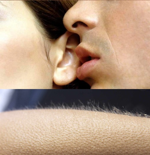 High Quality guy whispering at girls ear Blank Meme Template