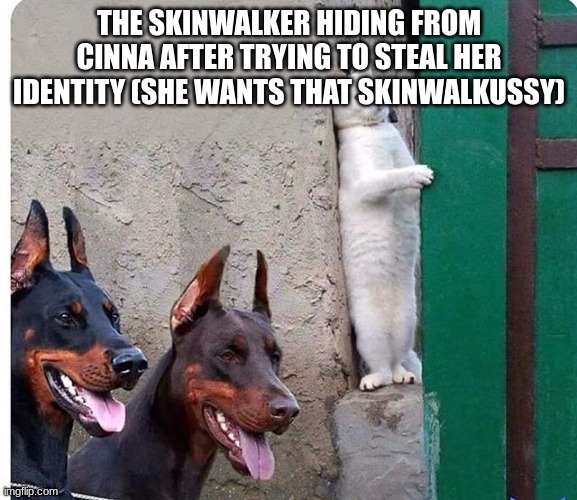 balls | THE SKINWALKER HIDING FROM CINNA AFTER TRYING TO STEAL HER IDENTITY (SHE WANTS THAT SKINWALKUSSY) | made w/ Imgflip meme maker