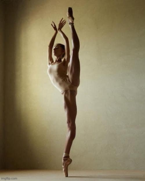 Aleksandra Hryhorieva Kiev State Ballet | image tagged in aleksandra hryhorieva kiev state ballet | made w/ Imgflip meme maker