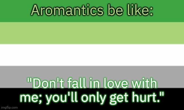 You have been warned. | Aromantics be like:; "Don't fall in love with me; you'll only get hurt." | image tagged in aromantic flag,independent,what is love,lgbt,single life | made w/ Imgflip meme maker