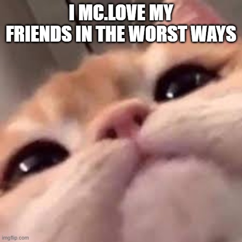 if i  made you horny get away now | I MC.LOVE MY FRIENDS IN THE WORST WAYS | image tagged in smug asf cat or shit idk im dumb | made w/ Imgflip meme maker