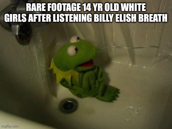Depressed Kermit | RARE FOOTAGE 14 YR OLD WHITE GIRLS AFTER LISTENING BILLY ELISH BREATH | image tagged in depressed kermit | made w/ Imgflip meme maker