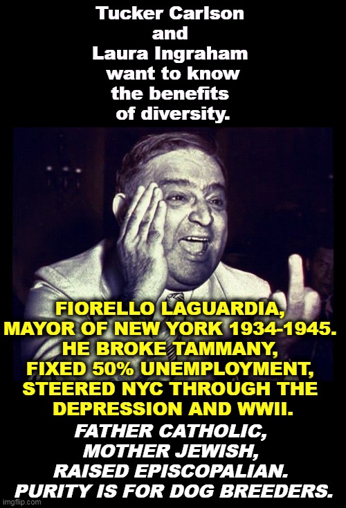 In diversity, there is strength. | Tucker Carlson 
and 
Laura Ingraham 
want to know
the benefits 
of diversity. FIORELLO LAGUARDIA, 
MAYOR OF NEW YORK 1934-1945. 
HE BROKE TAMMANY, 
FIXED 50% UNEMPLOYMENT, 
STEERED NYC THROUGH THE 
DEPRESSION AND WWII. FATHER CATHOLIC, 
MOTHER JEWISH, 
RAISED EPISCOPALIAN. 
PURITY IS FOR DOG BREEDERS. | image tagged in diversity,combination,mix,background | made w/ Imgflip meme maker