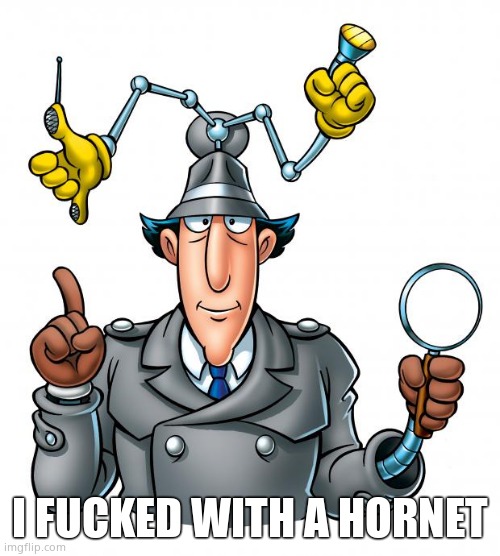 Inspector Gadget | I FUCKED WITH A HORNET | image tagged in inspector gadget | made w/ Imgflip meme maker