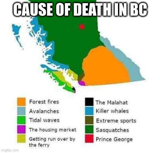 this is true | CAUSE OF DEATH IN BC | image tagged in sarcasm,bc,canada,death,joke | made w/ Imgflip meme maker