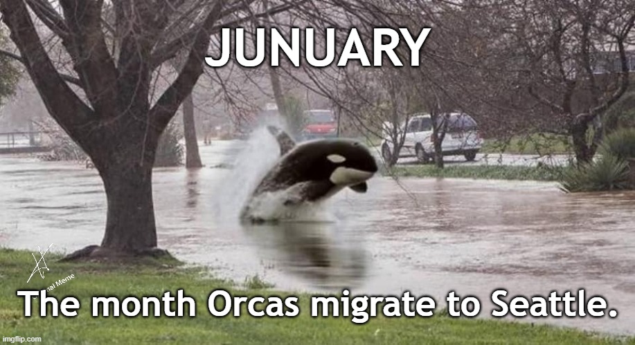 Junuary... The month Orcas migrate to Seattle | JUNUARY; The month Orcas migrate to Seattle. | image tagged in orca,junuary,rain,seattle | made w/ Imgflip meme maker