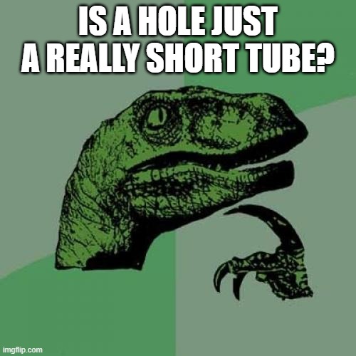 hmm | IS A HOLE JUST A REALLY SHORT TUBE? | image tagged in memes,philosoraptor | made w/ Imgflip meme maker