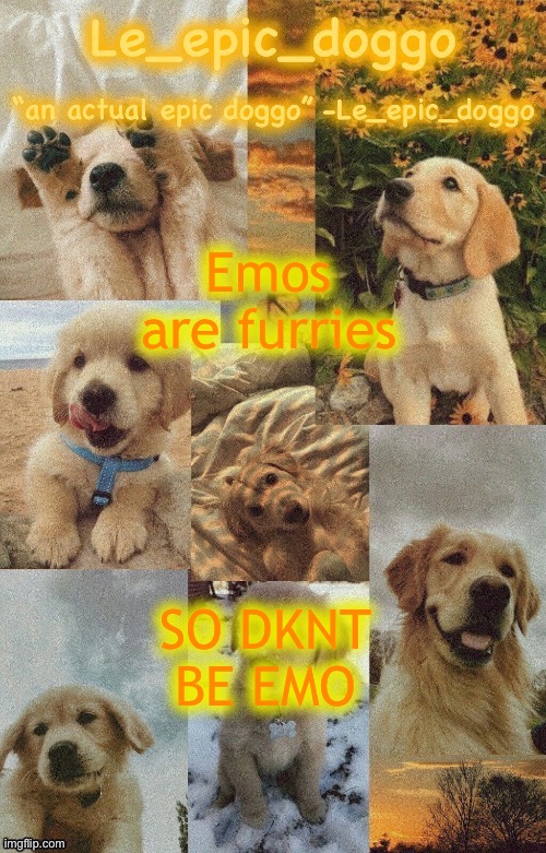 Doggo temp by doggo. Wait what that’s confusing | Emos are furries; SO DKNT BE EMO | image tagged in doggo temp by doggo wait what that s confusing | made w/ Imgflip meme maker