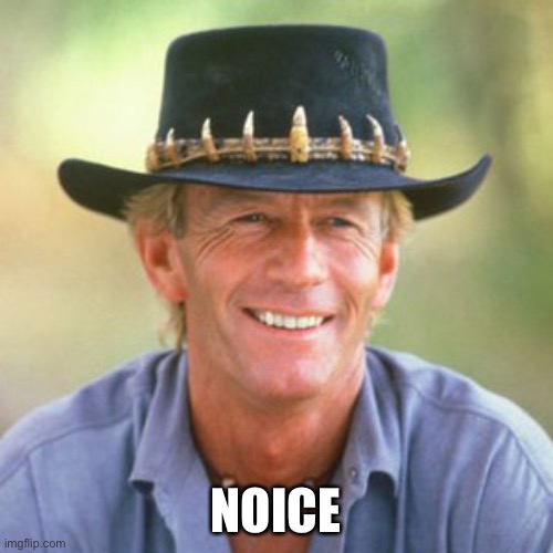australianguy | NOICE | image tagged in australianguy | made w/ Imgflip meme maker