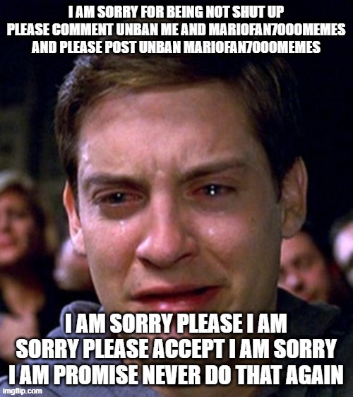 im sorry please accept this apologize i am really sorry??? | image tagged in i am sorry | made w/ Imgflip meme maker