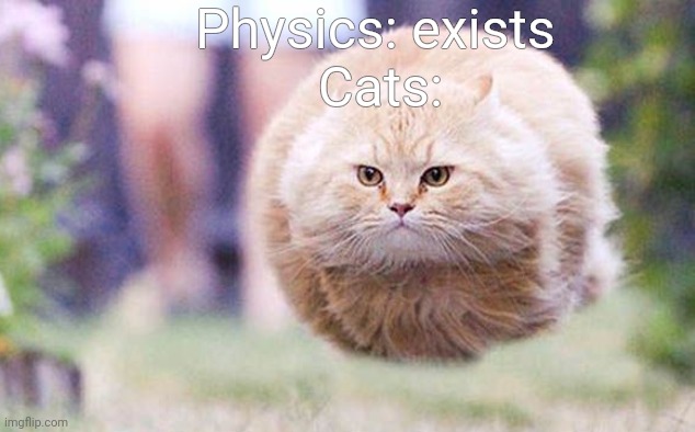 Physics in a nutshell with cats | Physics: exists; Cats: | image tagged in floating cat | made w/ Imgflip meme maker