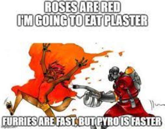 idk if repost is allowed | image tagged in anti furry | made w/ Imgflip meme maker