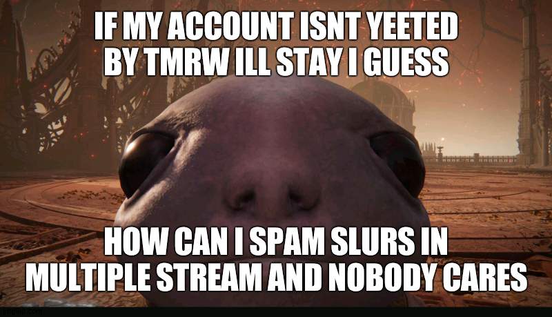 keep tryi  for awhile longer | IF MY ACCOUNT ISNT YEETED BY TMRW ILL STAY I GUESS; HOW CAN I SPAM SLURS IN MULTIPLE STREAM AND NOBODY CARES | image tagged in staring albinauric | made w/ Imgflip meme maker