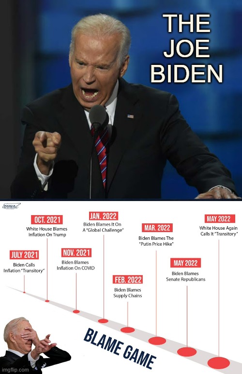 Why Can't Politicians Take Responsibility For Their Actions? | THE JOE BIDEN | image tagged in memes,politics,responsibility,joe biden,blame,game | made w/ Imgflip meme maker