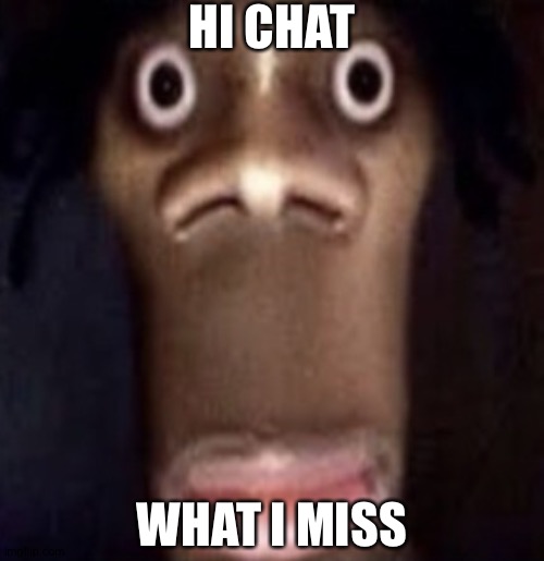 Quandale dingle | HI CHAT; WHAT I MISS | image tagged in quandale dingle | made w/ Imgflip meme maker