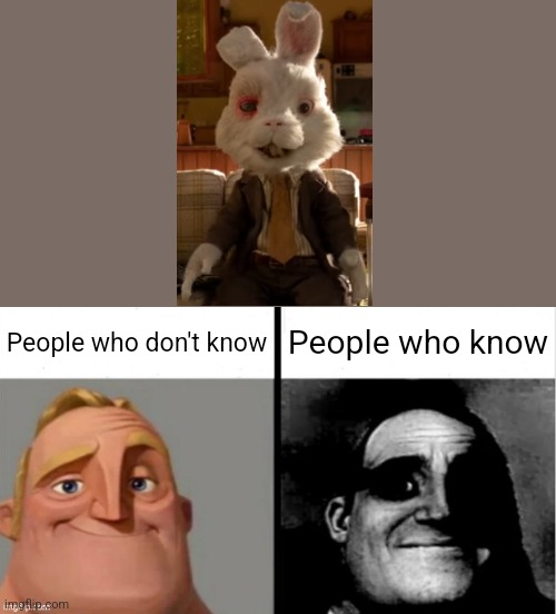 Sad rabbit |  People who don't know; People who know | image tagged in people who don't know vs people who know | made w/ Imgflip meme maker