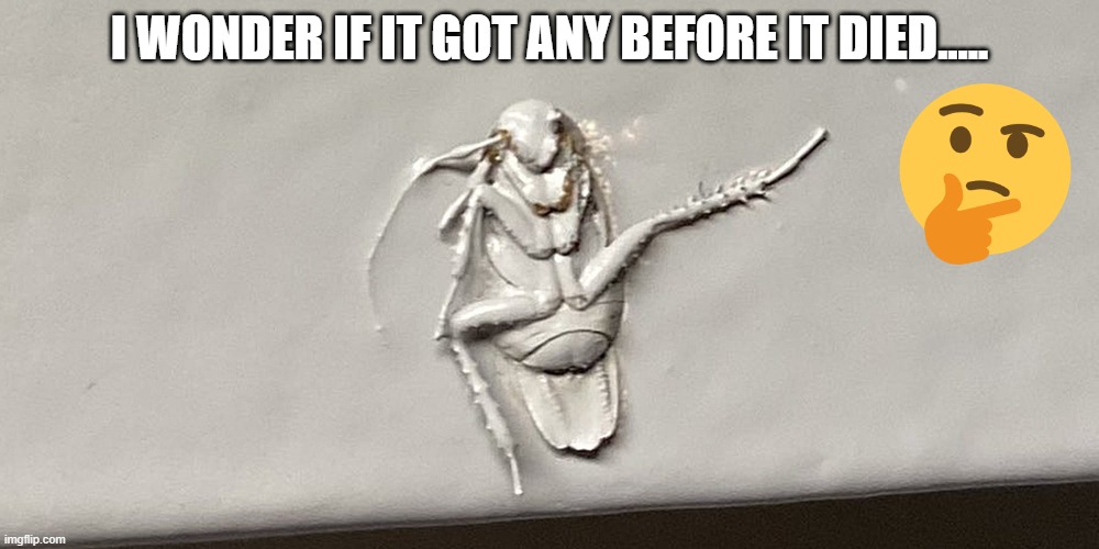 Cocked the Roach? | I WONDER IF IT GOT ANY BEFORE IT DIED..... | image tagged in painted roach | made w/ Imgflip meme maker