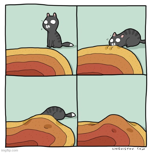 A Cat's Way Of Thinking | image tagged in memes,comics,cats,what is this,investigation,do it | made w/ Imgflip meme maker