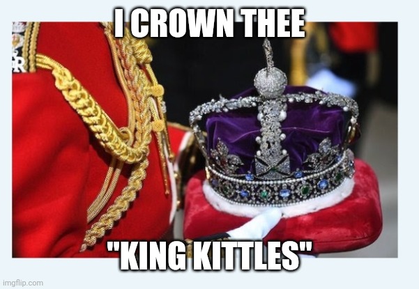 I CROWN THEE "KING KITTLES" | made w/ Imgflip meme maker