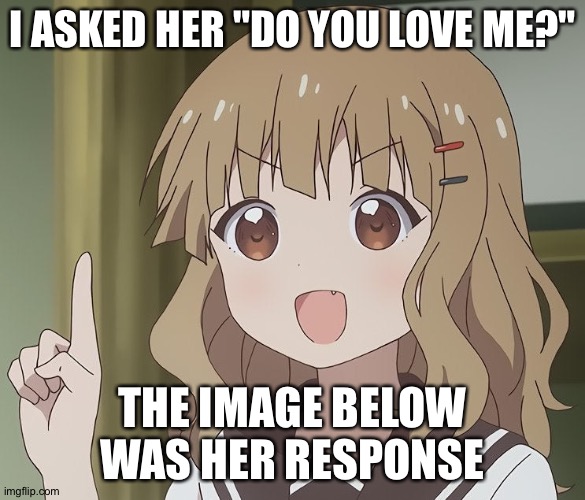 The person above me | I ASKED HER "DO YOU LOVE ME?"; THE IMAGE BELOW WAS HER RESPONSE | image tagged in the person above me | made w/ Imgflip meme maker