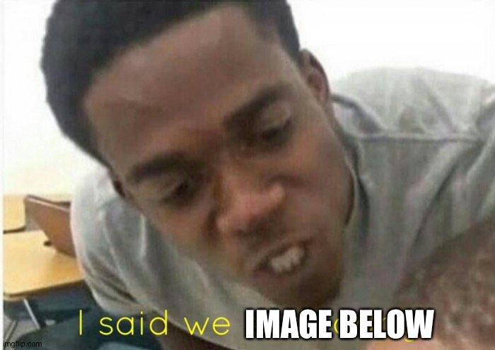 i said we ____ today | IMAGE BELOW | image tagged in i said we ____ today | made w/ Imgflip meme maker