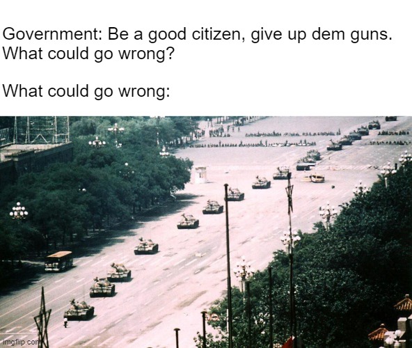Something went wrong | Government: Be a good citizen, give up dem guns.
What could go wrong? What could go wrong: | made w/ Imgflip meme maker