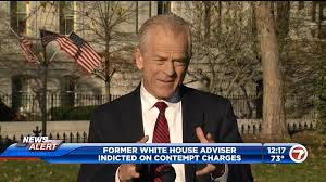 High Quality Peter Navarro Indicted Blank Meme Template