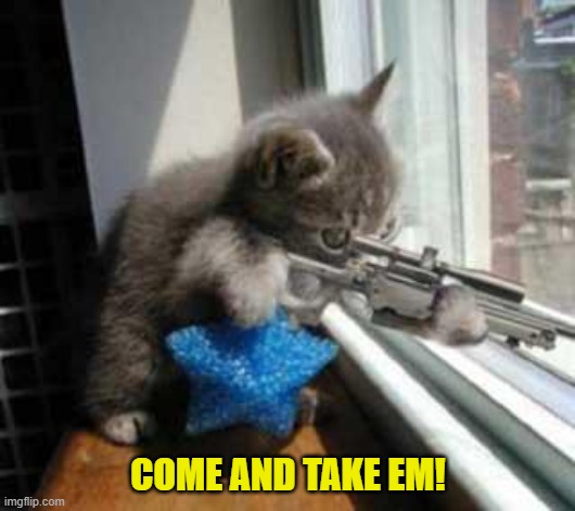 CatSniper | COME AND TAKE EM! | image tagged in catsniper | made w/ Imgflip meme maker