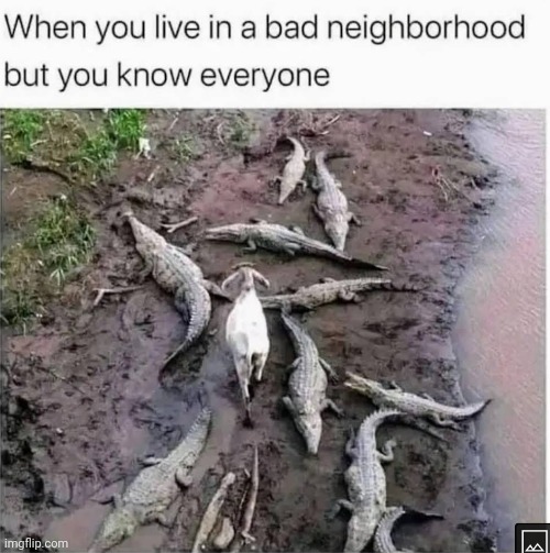 image-tagged-in-bad-neighborhood-everyone-imgflip