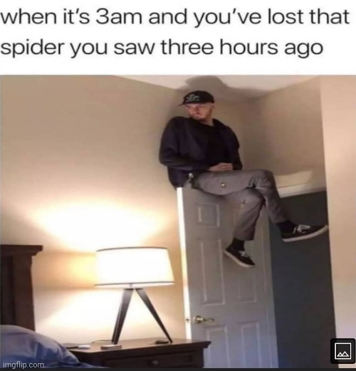 I shall stay above the ground | image tagged in 3am,spider | made w/ Imgflip meme maker