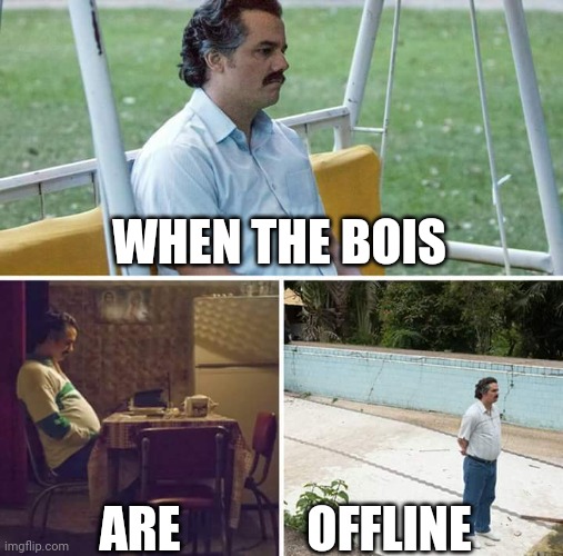 Sad Pablo Escobar | WHEN THE BOIS; ARE; OFFLINE | image tagged in memes,sad pablo escobar | made w/ Imgflip meme maker