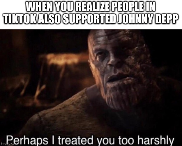 Perhaps I treated you too harshly |  WHEN YOU REALIZE PEOPLE IN TIKTOK ALSO SUPPORTED JOHNNY DEPP | image tagged in perhaps i treated you too harshly,memes,funny,tiktok | made w/ Imgflip meme maker