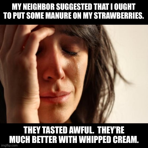Strawberries | MY NEIGHBOR SUGGESTED THAT I OUGHT TO PUT SOME MANURE ON MY STRAWBERRIES. THEY TASTED AWFUL.  THEY’RE MUCH BETTER WITH WHIPPED CREAM. | image tagged in memes,first world problems | made w/ Imgflip meme maker
