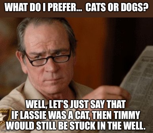 Lassie | WHAT DO I PREFER…  CATS OR DOGS? WELL, LET’S JUST SAY THAT IF LASSIE WAS A CAT, THEN TIMMY WOULD STILL BE STUCK IN THE WELL. | image tagged in skeptical tommy le jones | made w/ Imgflip meme maker