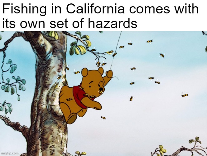 They're not biting today, but they sure STING! | Fishing in California comes with 
its own set of hazards | made w/ Imgflip meme maker