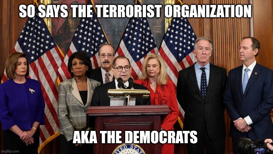 House Democrats | SO SAYS THE TERRORIST ORGANIZATION AKA THE DEMOCRATS | image tagged in house democrats | made w/ Imgflip meme maker