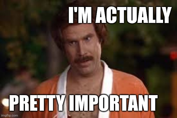 I'm pretty important | I'M ACTUALLY; PRETTY IMPORTANT | image tagged in anchorman robe,important,narcissist,funny,anchorman,reactions | made w/ Imgflip meme maker