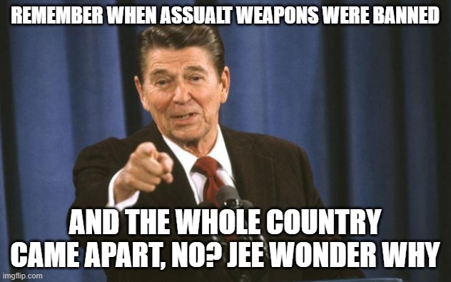 Ronald Reagan -Assault Weapons | REMEMBER WHEN ASSUALT WEAPONS WERE BANNED; AND THE WHOLE COUNTRY CAME APART, NO? JEE WONDER WHY | image tagged in ronald reagan,gun control,memes,politics,ar15 | made w/ Imgflip meme maker