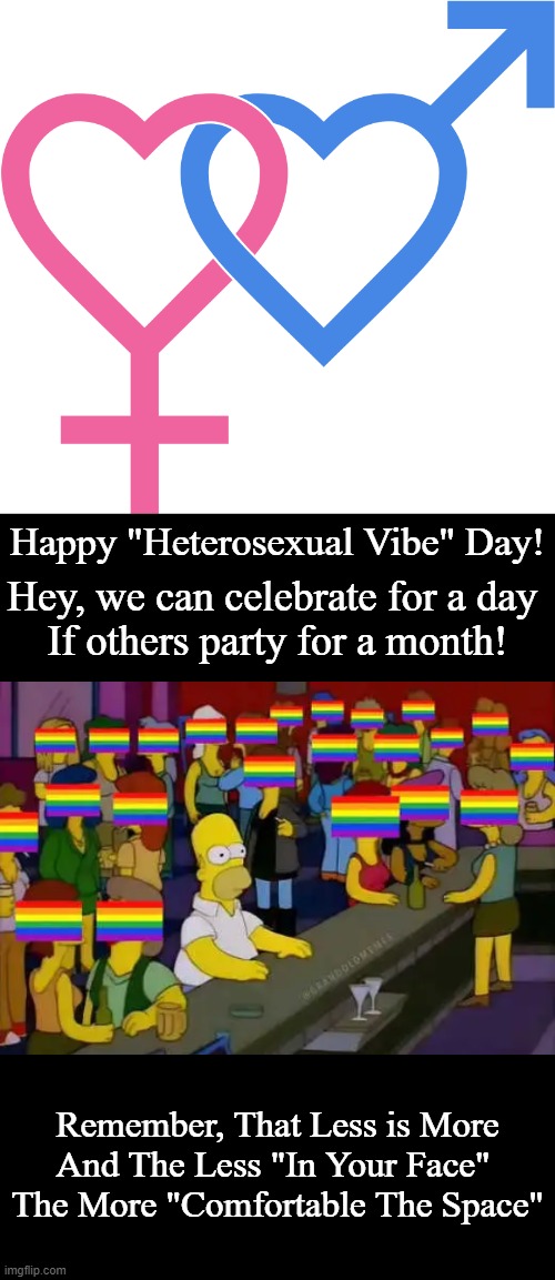 Happy Heterosexual Vibe Day! | image tagged in politics,gay pride,heterosexual vibe,celebrate,humor,party | made w/ Imgflip meme maker