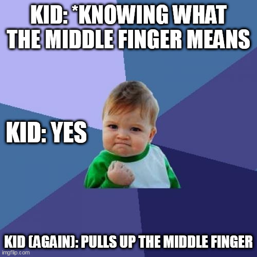 Heeeeheeeee Bois | KID: *KNOWING WHAT THE MIDDLE FINGER MEANS; KID: YES; KID (AGAIN): PULLS UP THE MIDDLE FINGER | image tagged in memes,success kid | made w/ Imgflip meme maker