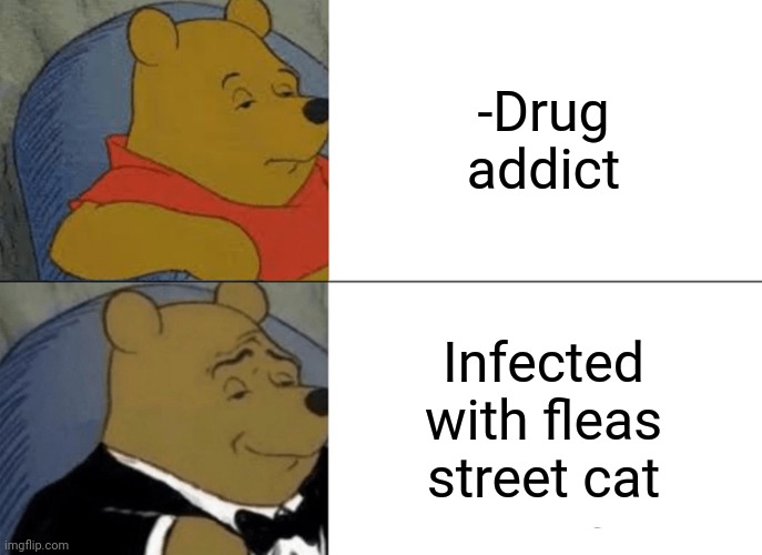 -Who is he? | -Drug addict; Infected with fleas street cat | image tagged in memes,tuxedo winnie the pooh,meme addict,don't do drugs,scared cat,street fighter | made w/ Imgflip meme maker
